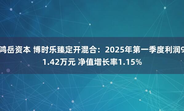 鸿岳资本 博时乐臻定开混合：2025年第一季度利润91.42万元 净值增长率1.15%