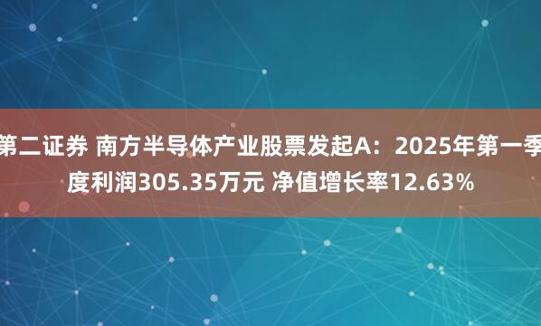 第二证券 南方半导体产业股票发起A:2025年第一季度利润305.35万元 净值增长率12.63%